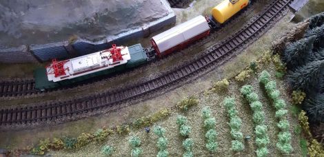 Die Weinst&ouml;cke m&uuml;ssten wohl mal geschnitten werden ...