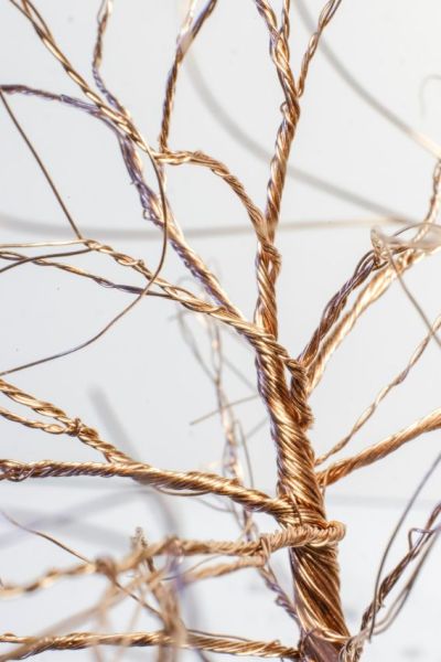 Verdrillter Stamm im Detail. 