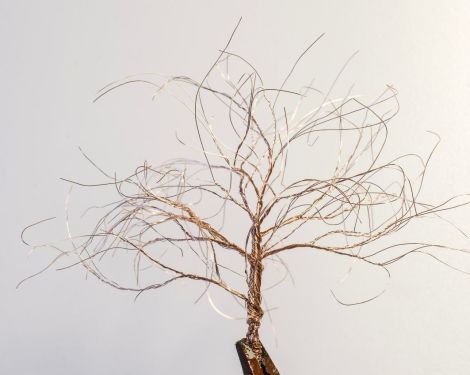 Baum vor dem "Haarschnitt", der ihn in seine endg&uuml;ltige Form bringen wird.