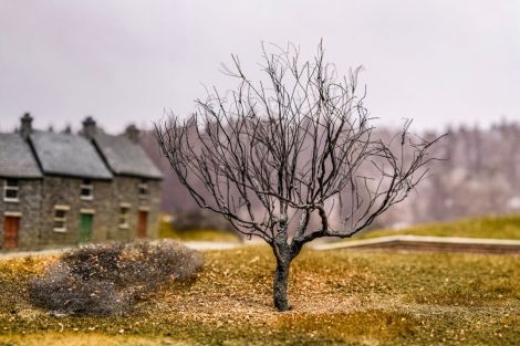 Unter dem Baum liegt noch unbehanndeltes Echt-Laub. Das ist f&uuml;r "mitten im Winter" noch zu hell.